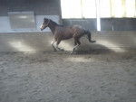 Escort Dancer - Mâle (6 ans)