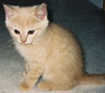 Poupette de compète! (Eden) -