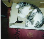 Une petite pause s'impose -