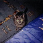 buffy quand elle était mince -