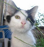 Jade découvre la nature -