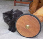 arnak et la roue géante -