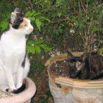 Canelle et sa fille -