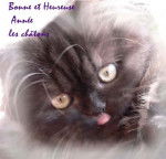 arnak bonne année ... -