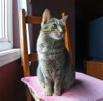 Kali, 4 ans - (4 ans)