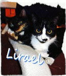 Mia und Kyara - (2 ans)