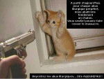 oh les mains chaton !.jpg -