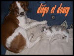 doucy et diego -