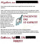 chatte domestique d'intérieur -