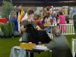 Foire d'Avignon 12.JPG -