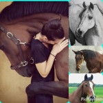 mon bb luxor - Mâle (2 ans)