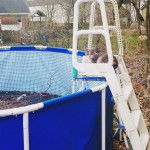 Boots - Mâle (3 ans)