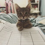 Leo - Mâle (3 mois)