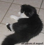 Ulycia du coup de coeur -