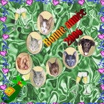 Europeens et chiens de la famille lachhar -