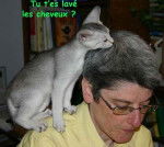 Vango inquisiteur ! -