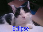 Eclipse - (2 ans)