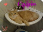 Caline adore les lavabo - (6 mois)