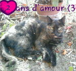 Lili - (2 ans)