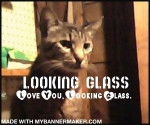 Looking Glass - Mâle (7 ans)