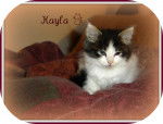 kayla - (2 ans)