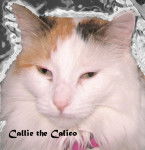 Callie - (10 ans)