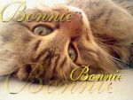 Bonnie - (1 an)
