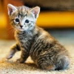 clara0508 - (2 mois)