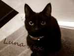 Luna - (3 ans)