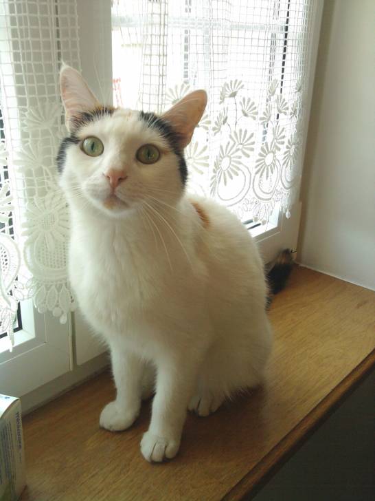 Louna - (3 ans)
