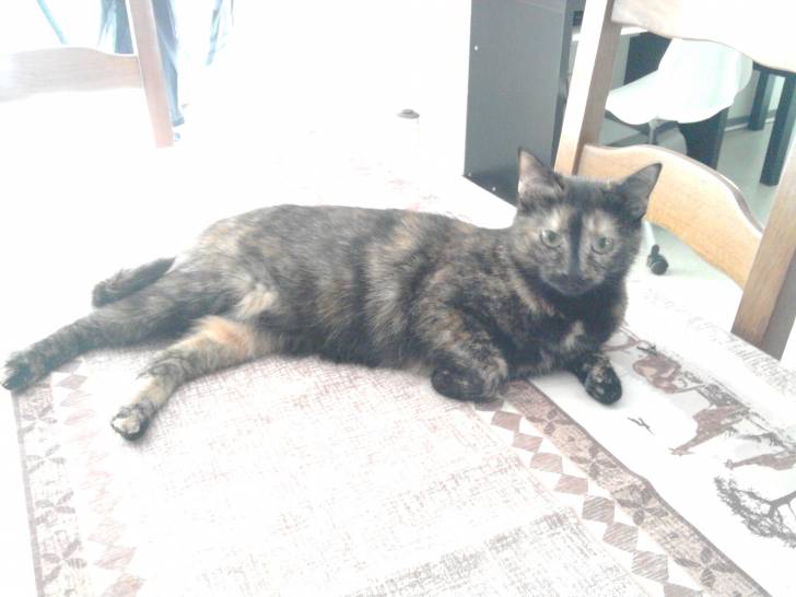 Lune - (3 ans)