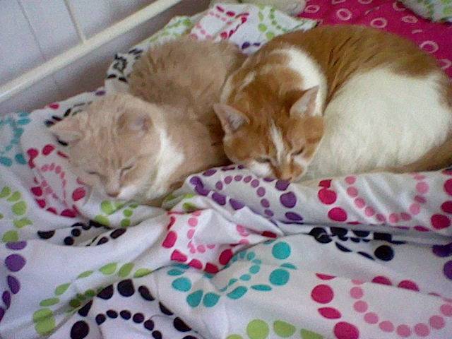 Peaches & Frisky - (14 ans)