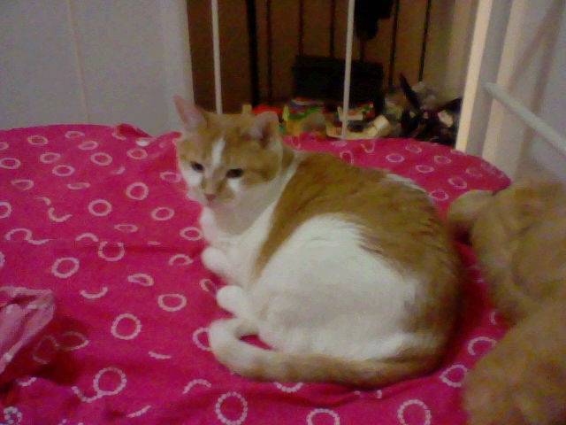 Frisky - (15 ans)