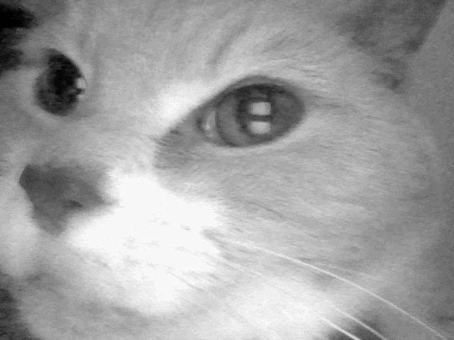 Peaches - (15 ans)