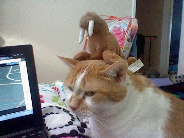 Frisky w/ her walrus - (15 ans)