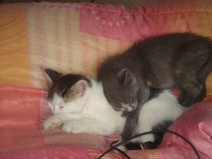 Dolly&Loulou -