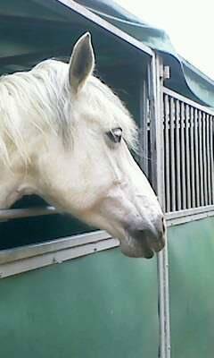 Manzana - (12 ans)
