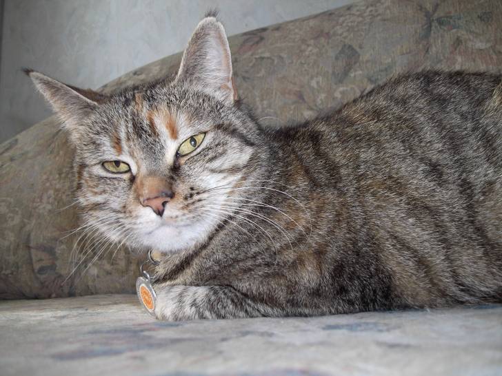 Sunny - (11 ans)