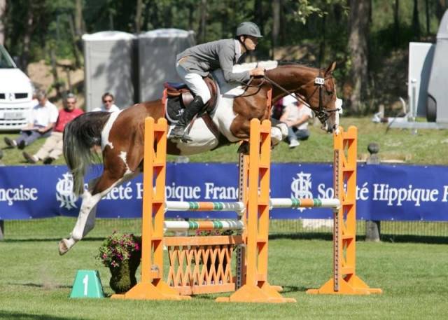 stenthor - Mâle (6 ans)