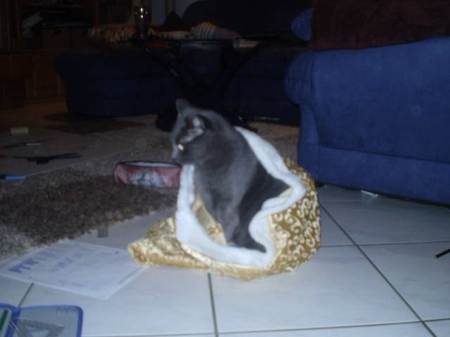 Luna - (3 ans)