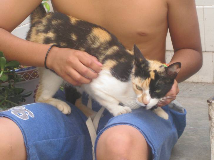 Caty - (9 ans)