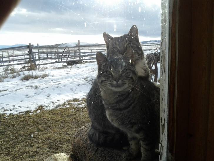 lily and socks - (8 ans)