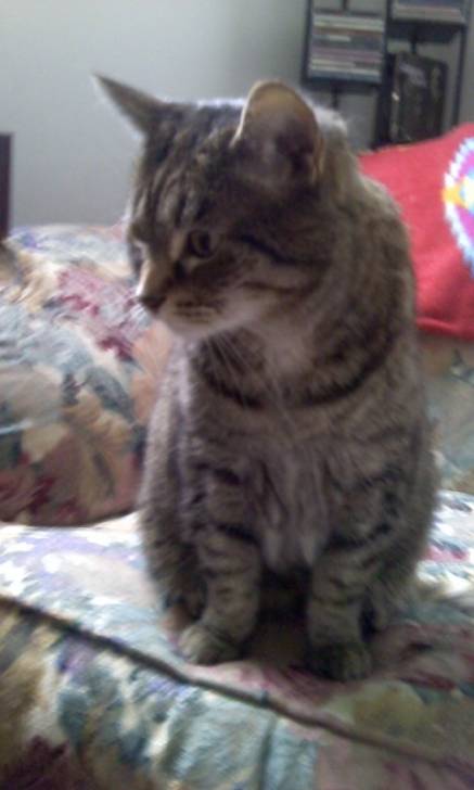 Kitsy - (14 ans)
