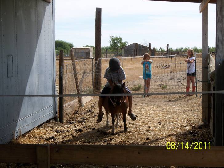 Princess - (6 ans)