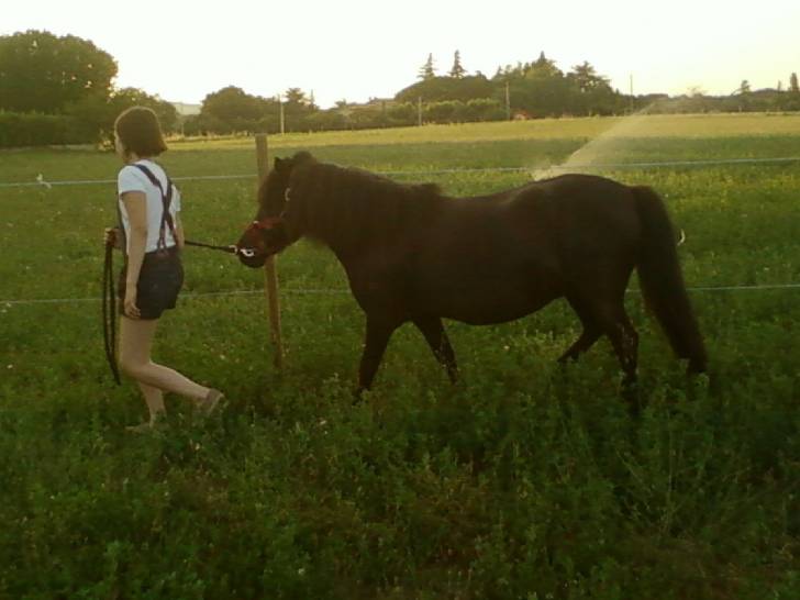 Orphée - (3 ans)