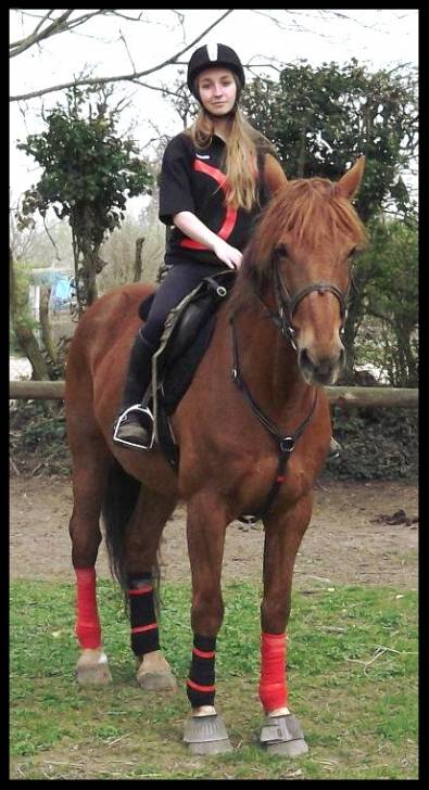 Idaho - Mâle (12 ans)