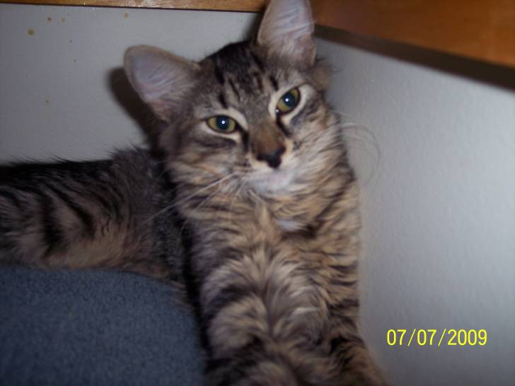 Scaredy - (2 ans)