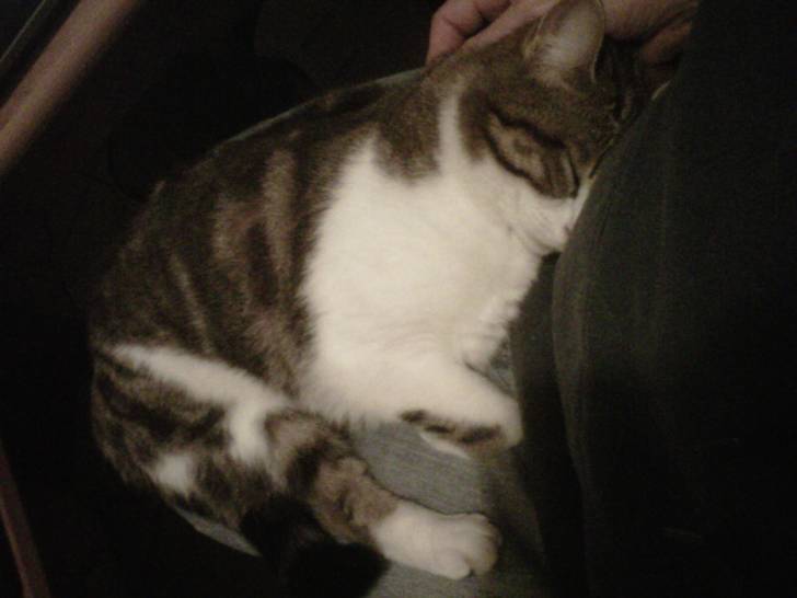Lily - (2 ans)