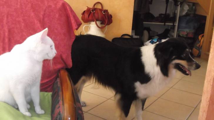 Bianca et Caly - (2 ans)