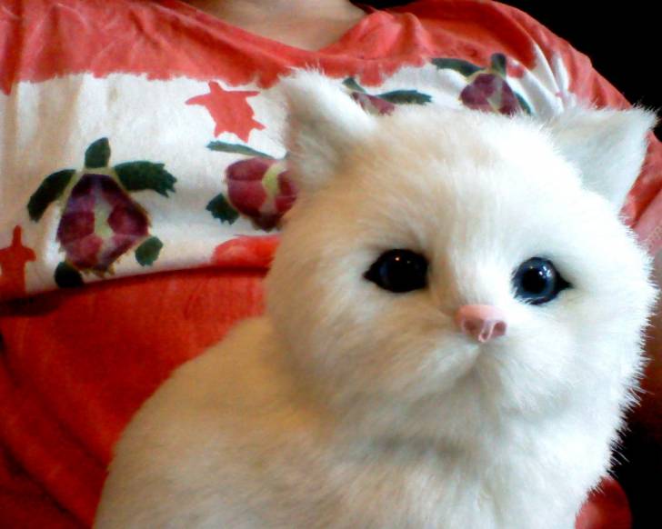 Cloud - (6 mois)